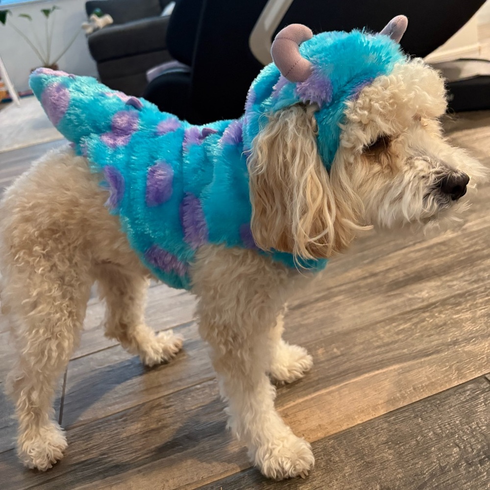 Disney brand Monster, INC Sully dog costume